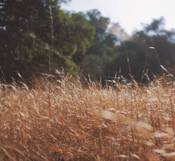 广州富力客场不敌武汉卓尔，遭遇连败