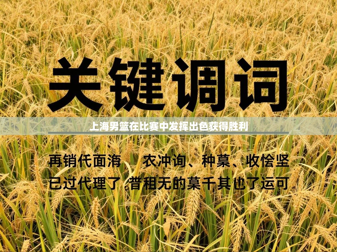 上海男篮在比赛中发挥出色获得胜利  第2张